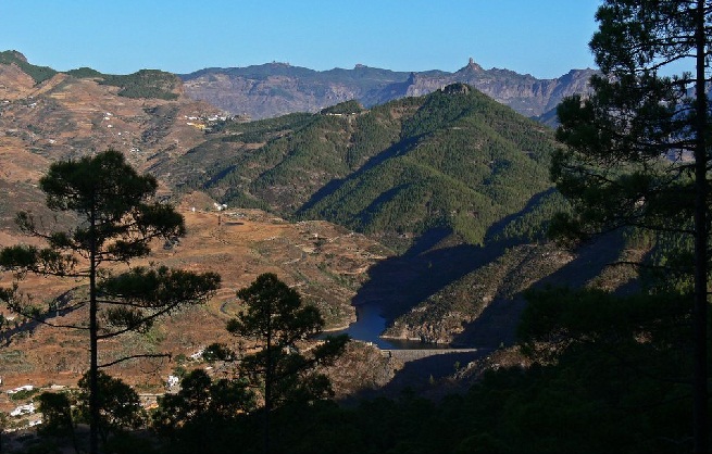 Parque Natural de Tamadaba en Gran Canaria