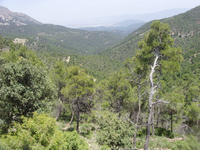Parque regional de Sierra Espuña, Murcia
