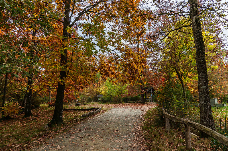 hiking trails through the Orgi forest in autumn