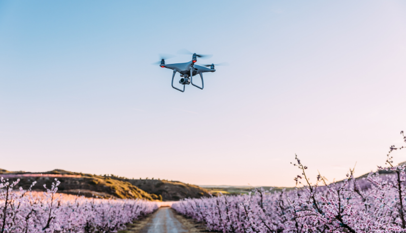 drones to capture nature
